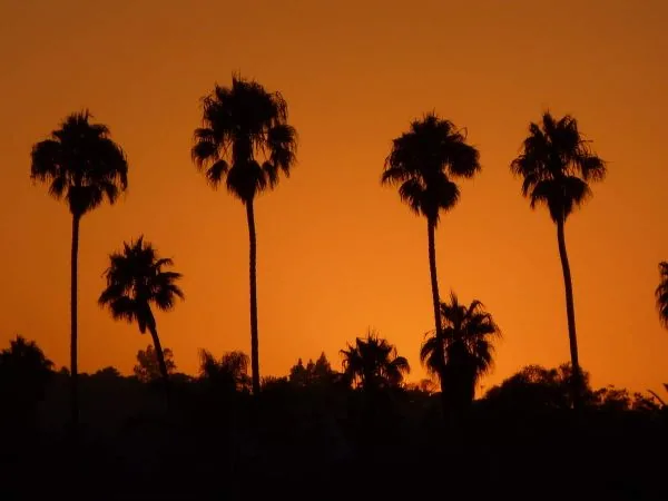 Road trip sans gluten en Californie