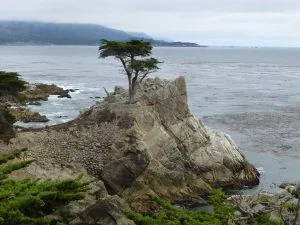 Road trip sans gluten en Californie