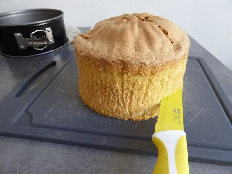 Layer cake aux citrons de Nice sans gluten et sans lactose