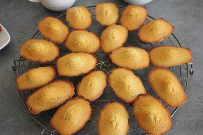 Quelques madeleines bien réconfortantes - sans gluten , bien sûr !