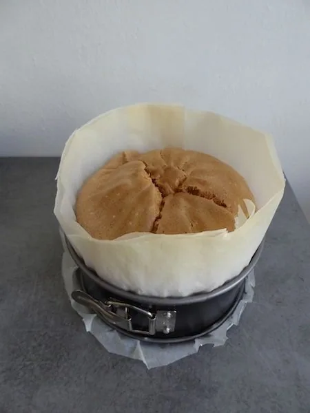 Layer cake aux citrons de Nice sans gluten et sans lactose