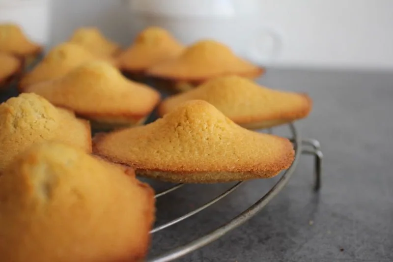 Quelques madeleines bien réconfortantes - sans gluten , bien sûr !