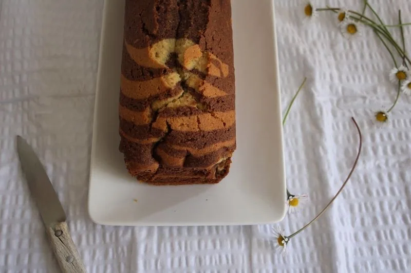 Zébra cake et  paquerettes du jardin