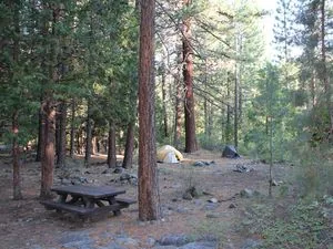 Road trip sans gluten en Californie