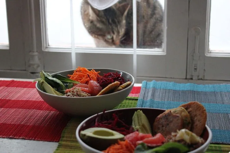 Montage des bols sous l'oeil plus ou moins attentif de mon chat !